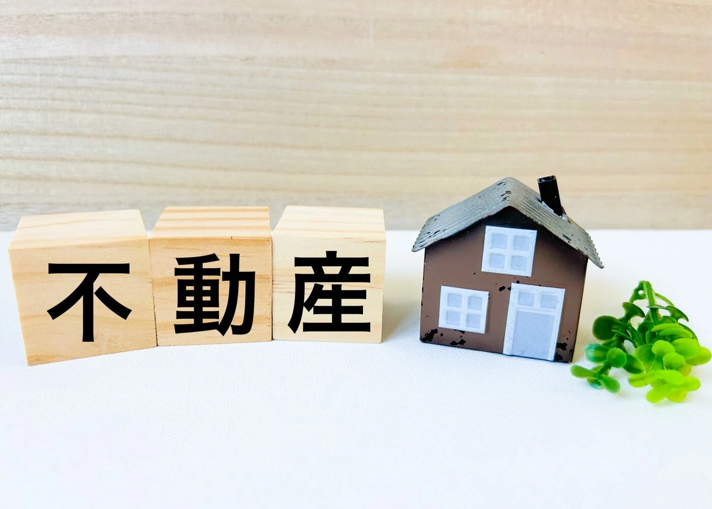 画像3027