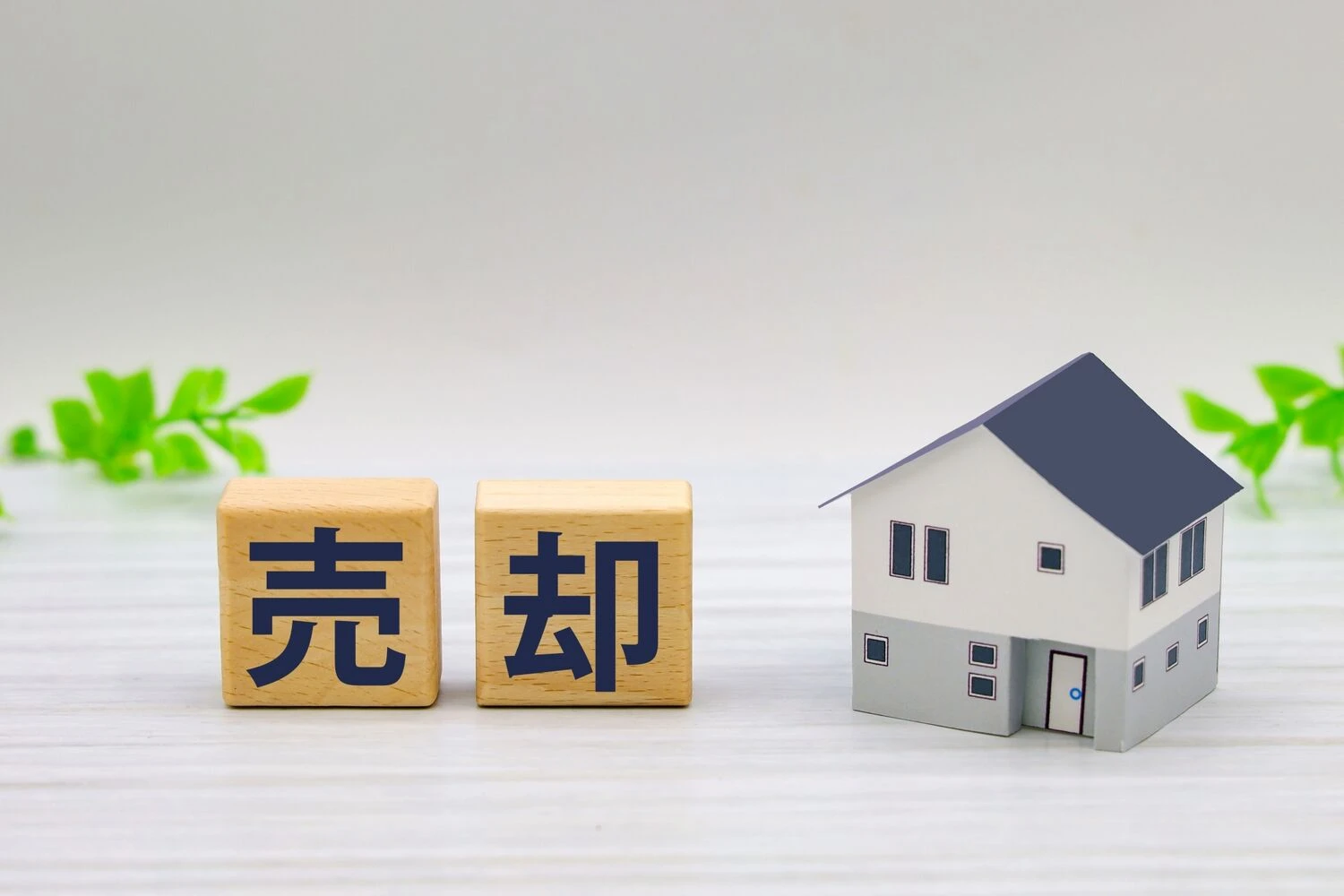 画像4629